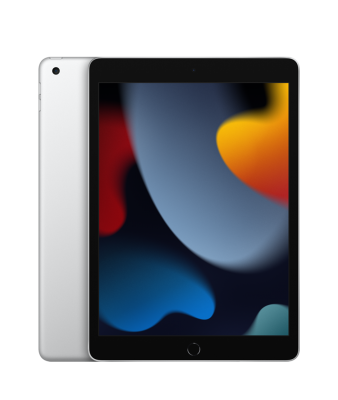 10.2-inch iPad Wi-Fi + Cellular 256GB - Silver